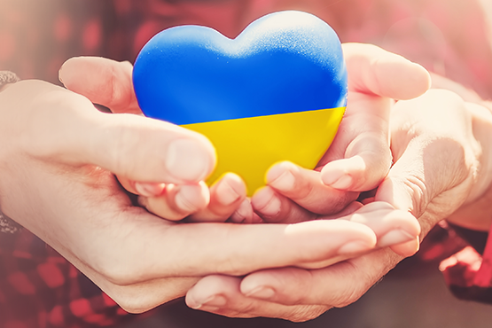 100 бонусів на Допомогу Українській Армії від Вас